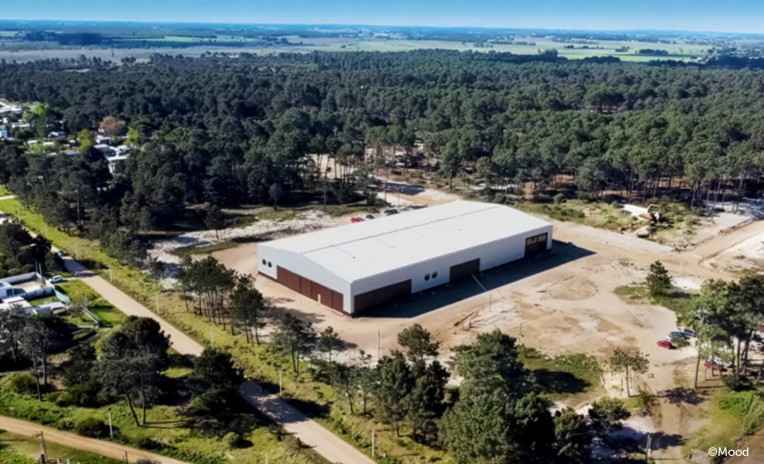 Stabilimento MOOD per la prefabbricazione di case in legno, Uruguay