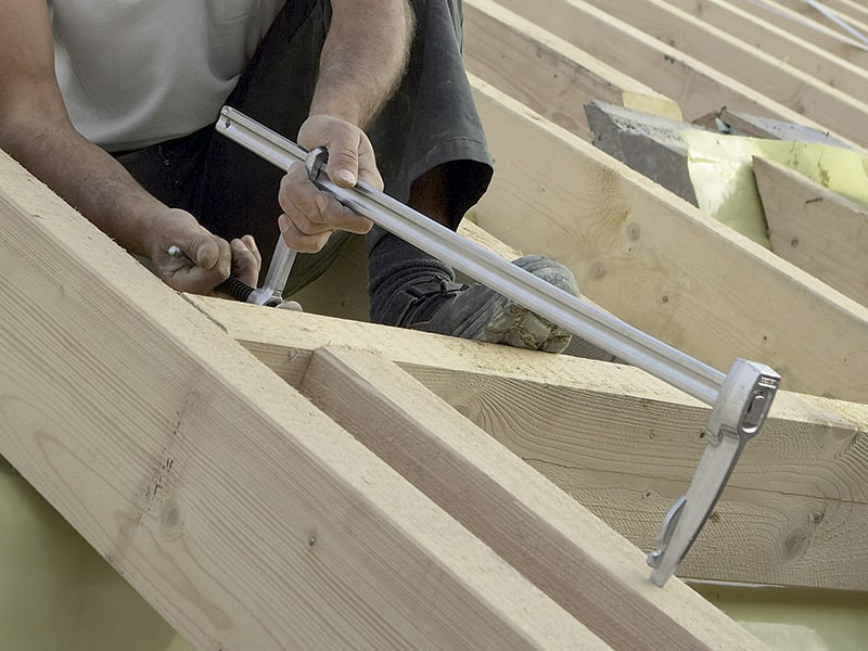 PINCER-TIP-SPARRENZWINGE-1