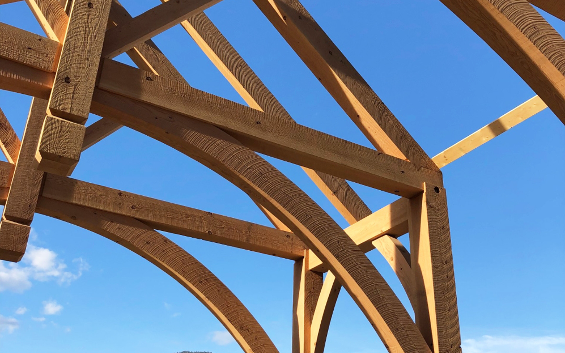 Hardwood frame structure with screws for high-density timber